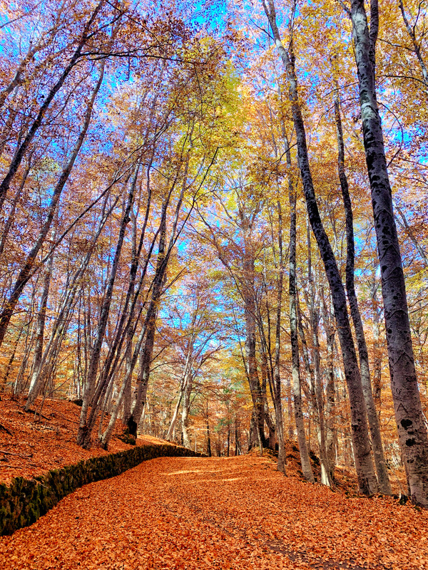 09712168-3D81-449B-A87B-79A6CC20FF02