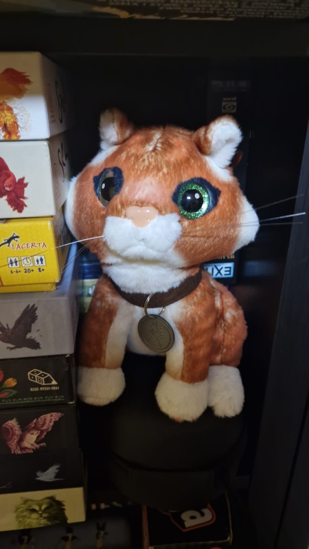 Zdjęcie WhatsApp 2024-12-20 o 18.52.14_078247c4