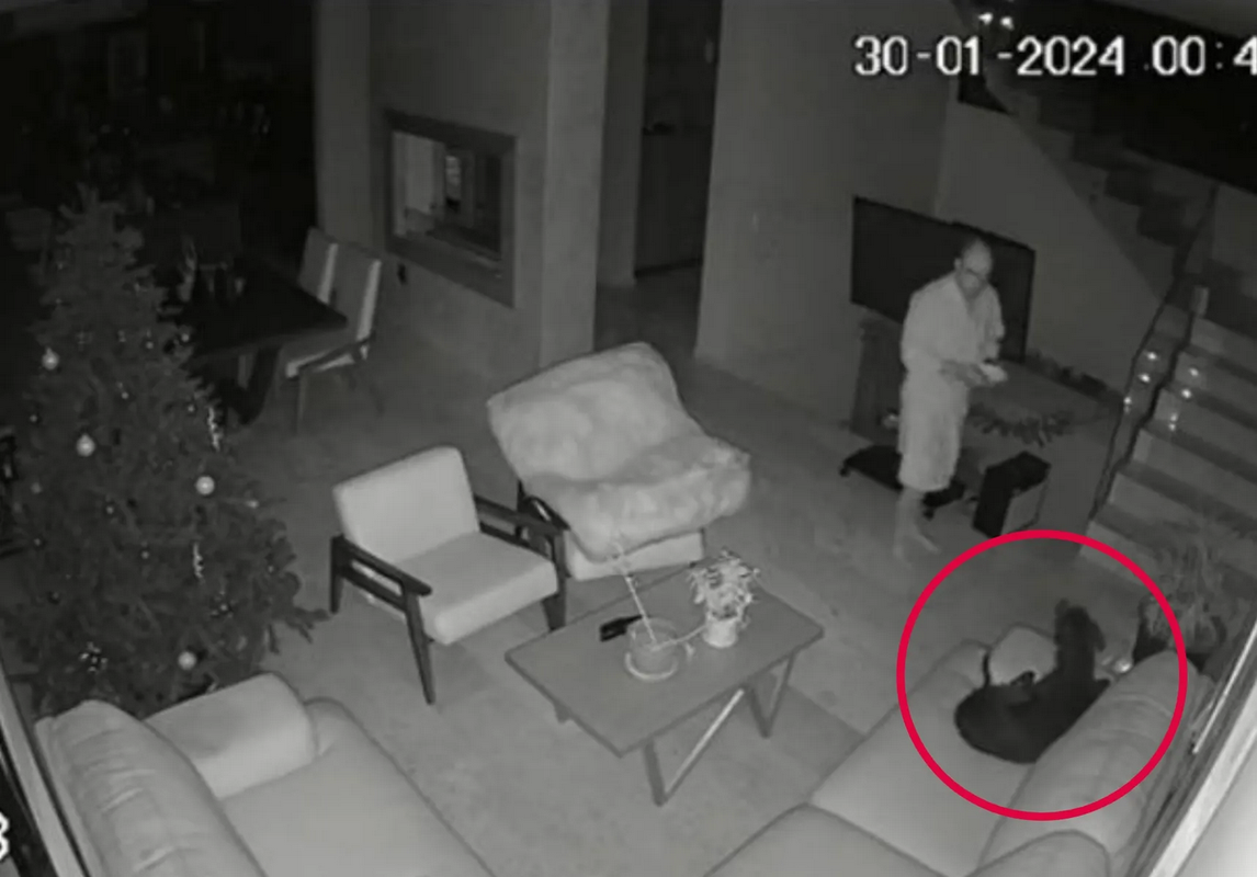 Video de terror: Hombre escucha hablar a su perro en la madrugada