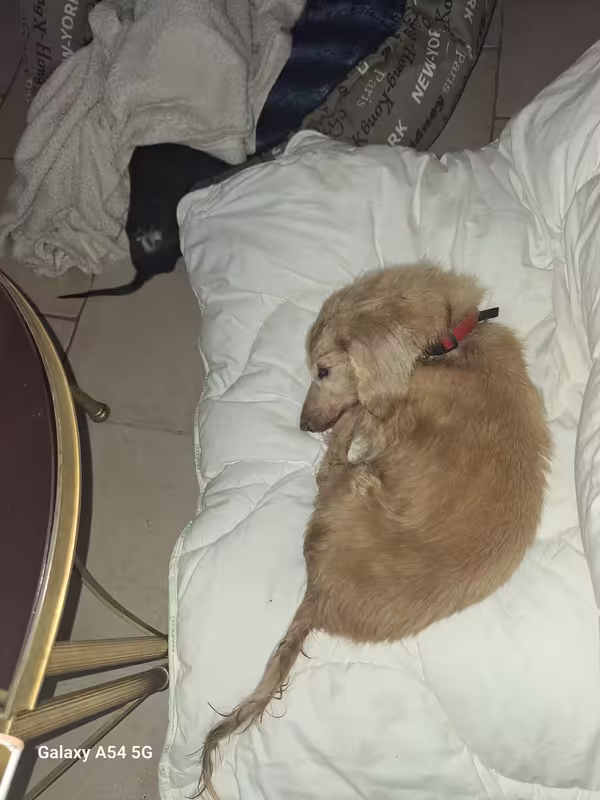 [Image: 20241028-131853.avif]