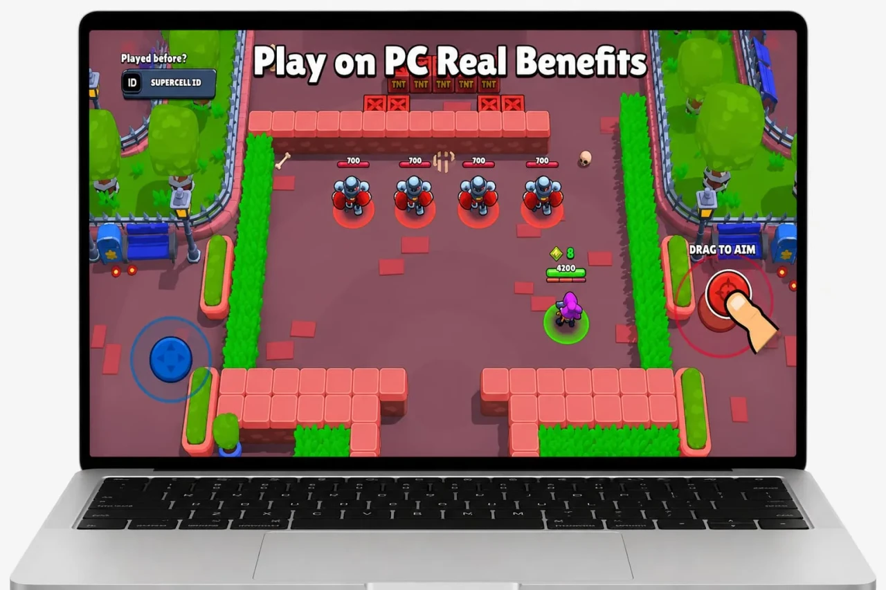 BSD Brawl For PC 9 Bigger Screen Better FPS Multi Instance