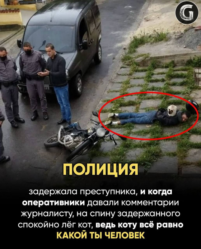 [Изображение: 82859d2875eec3d276848314c6daa6b0.jpg]