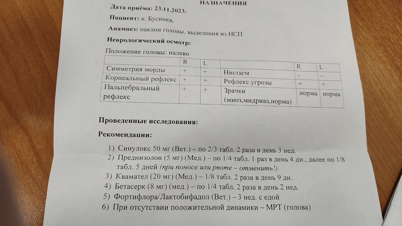 IMG-20231124-WA0011