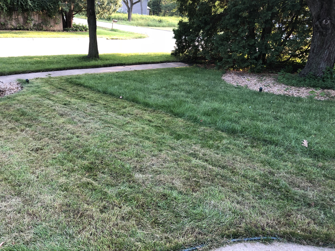 D955963E-8A9B-4729-B897-551236B464C6