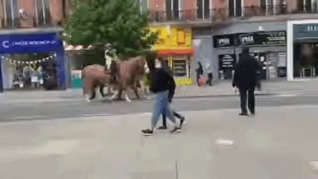 Caballo-se-asusta-al-ver-bandera-LGTB.gif