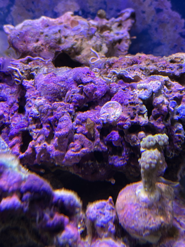 69F4B218-68B7-4BD3-8E84-9E87481C6647