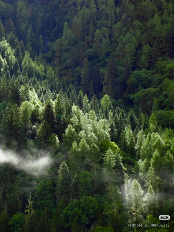 photo 6 2026 01 16 22 03 08