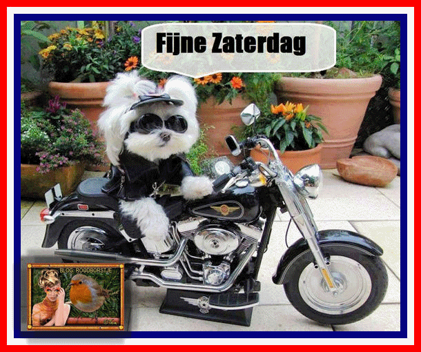 www.krabbelplaatjes.com