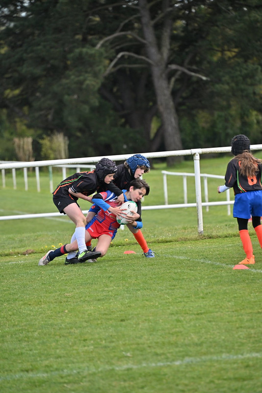 dsc-1709-55180409922-l