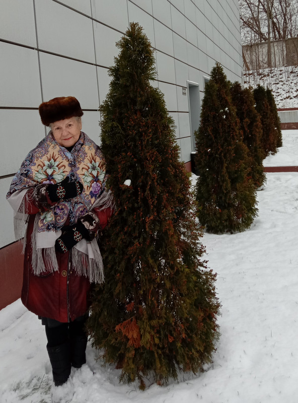 Зимний ноябрь 4