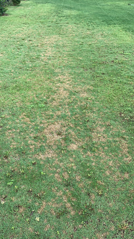 FB14C679-2526-459A-8C66-06D0A2B17D77