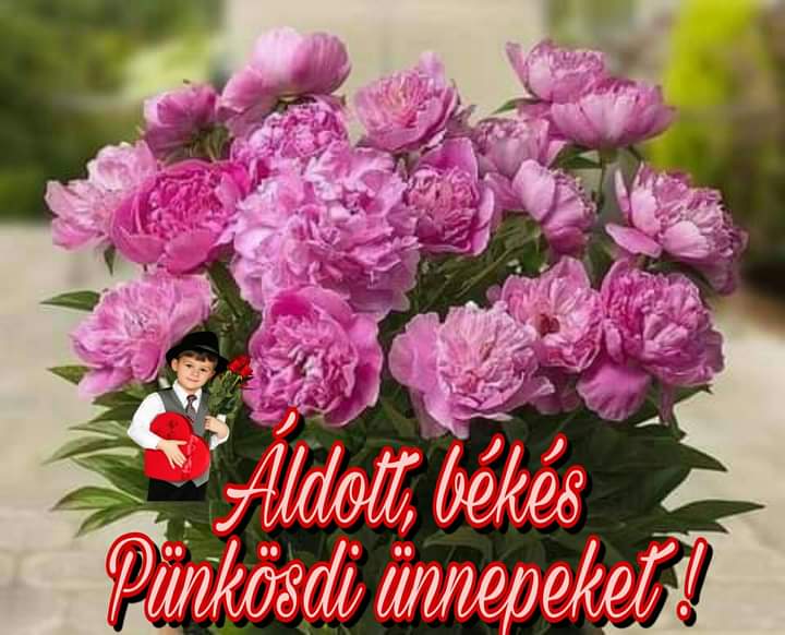 FB_IMG_1685197134495