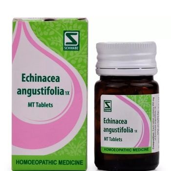 Willmar Schwabe India Echinacea Angustifolia 1X Tablets (20g)