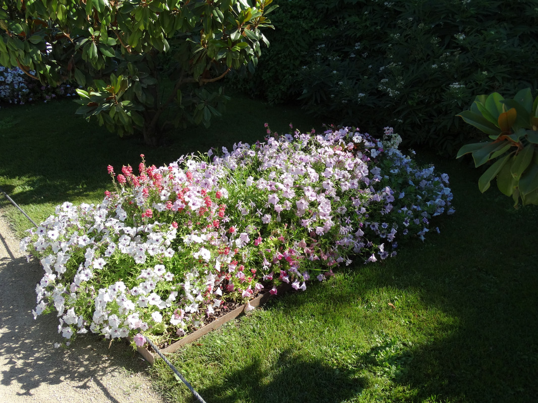 04.04 - DSC08447 (Czesio1)