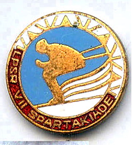 г31-33