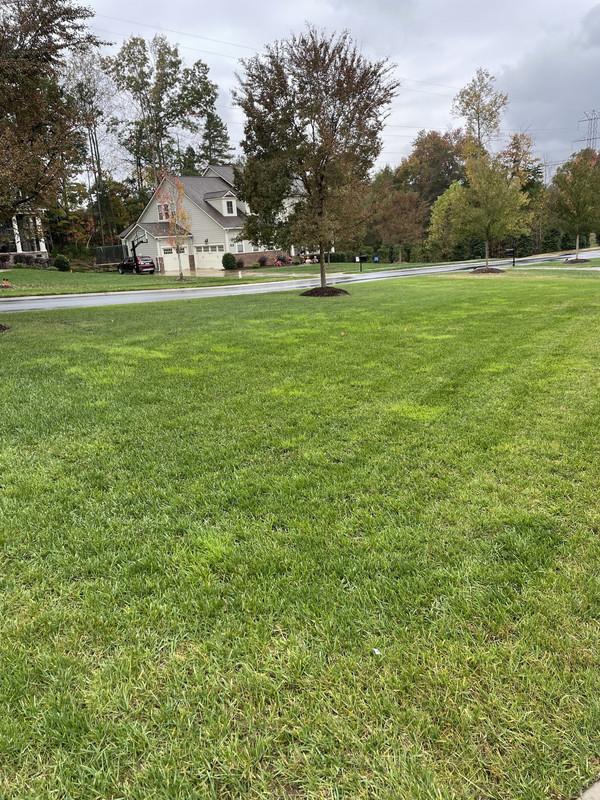 F282206F-1254-471A-B46B-3578314E3E62