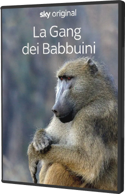 La gang dei babbuini - Stagione 1 (2023) [Completa] .mkv WEBRip AC3 - ITA