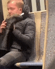 https://i.postimg.cc/4dgnkKwp/nn-L4-ALb-2.gif