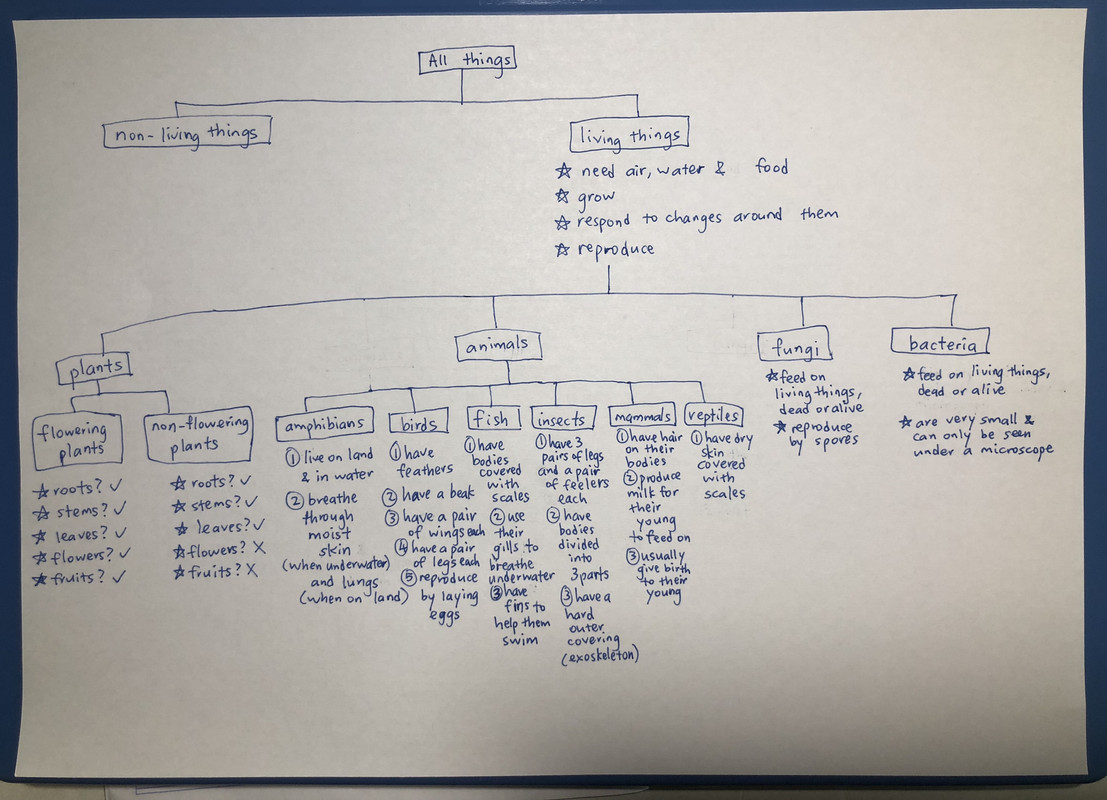 35AB6003-1760-4D5F-BECB-009D5F825A93