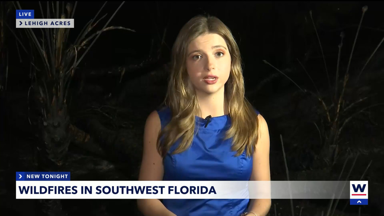 04.11 - 04.00.01 - WINK News at 11  ᴺᵉʷ. Local and regional news..ts_snapshot_16.53.444