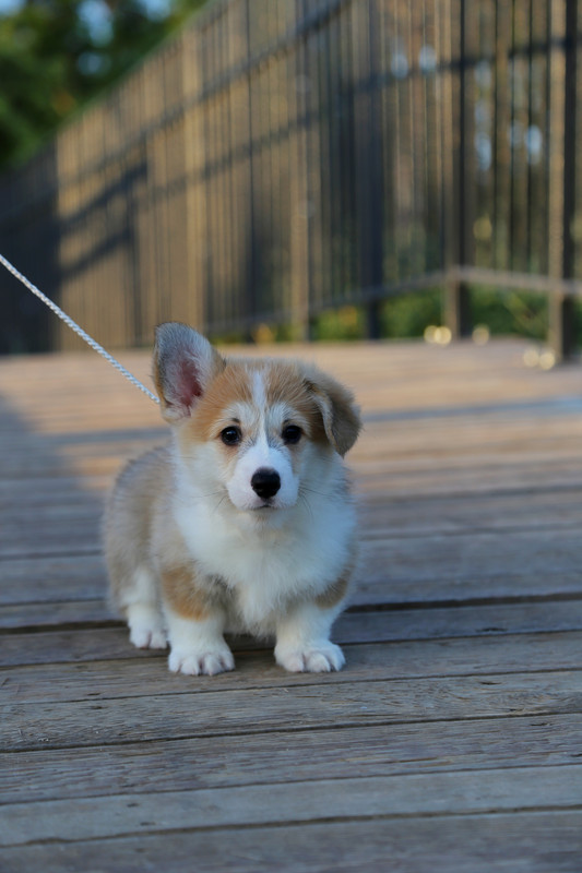 IMG_8066    17.07.21 АК Байрон