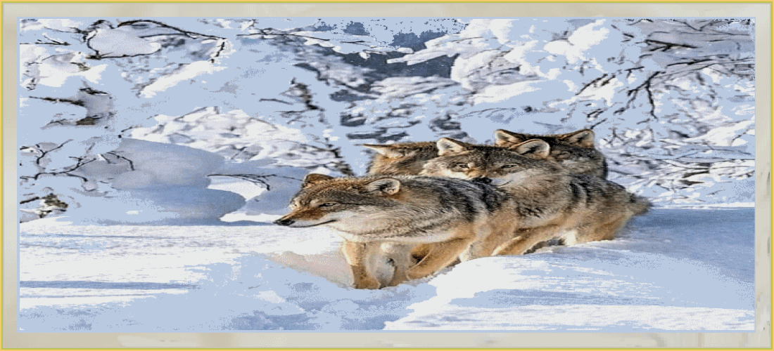 plaatje-23-maart-2022