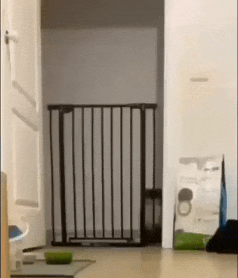 https://i.postimg.cc/4dhMYZWN/ezgif-1-179313ecf113.gif