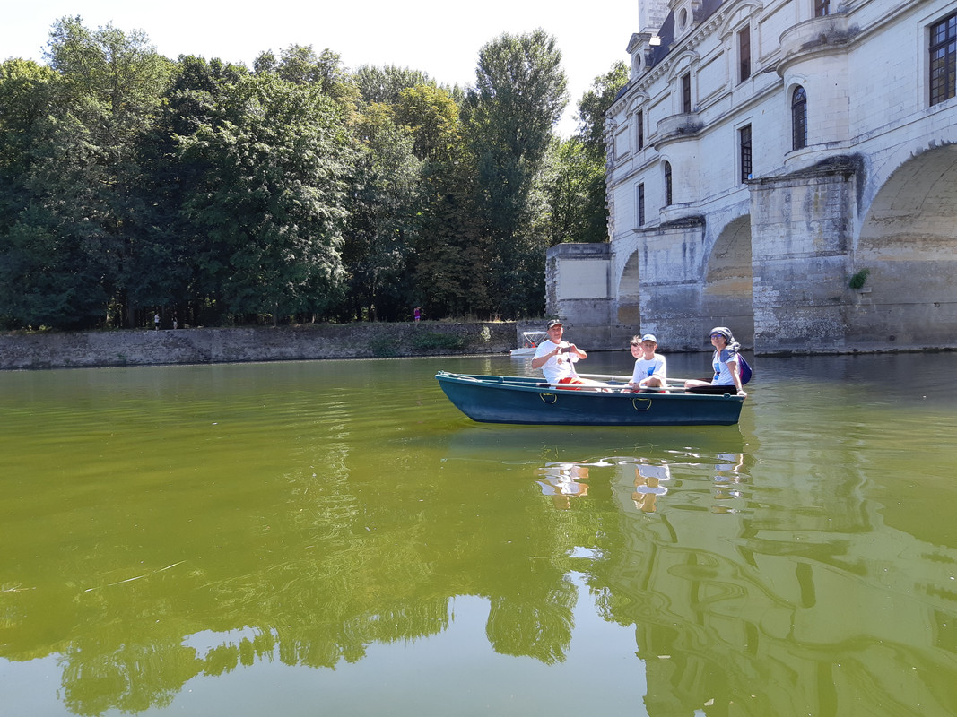 11.19 - 20180806_151018(0) (PiTT)