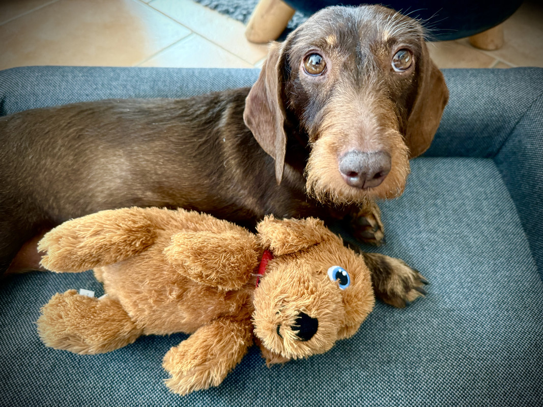 [Image: IMG-1243.jpg]