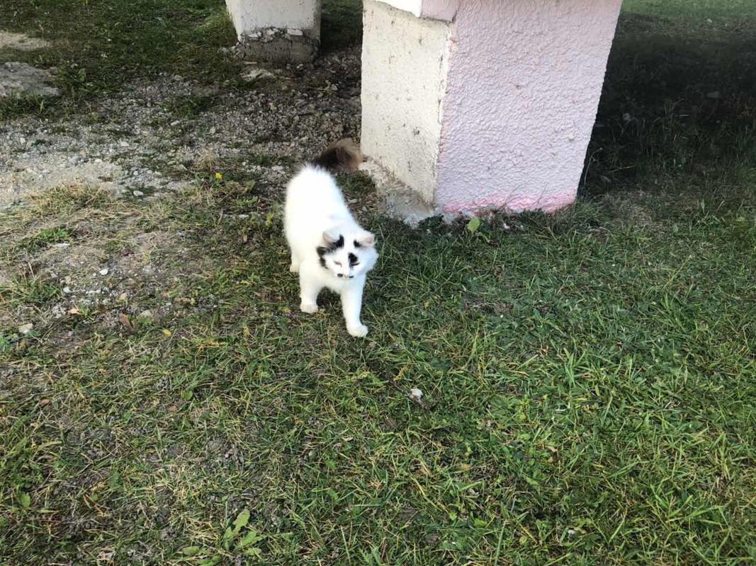 474A210A-0752-4A07-A4C2-830D1FE7BF0B