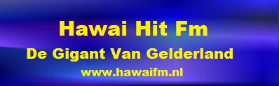 Hawai Hit Fm De Gigant Van Gld banner