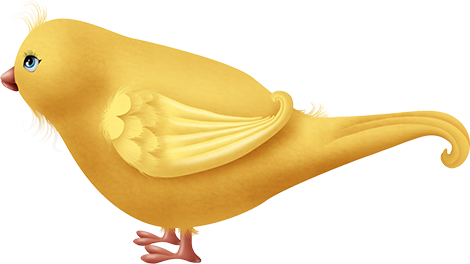 KBK_PrettyRabbit (90)