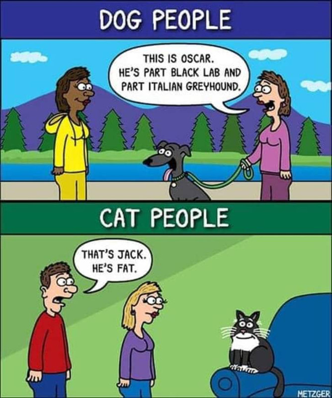 CA603242-A637-4BDA-A0F8-043E8A401546