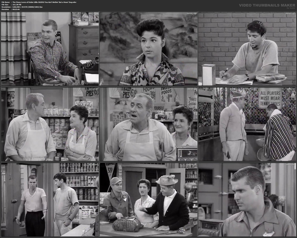 The Many Loves of Dobie Gillis S02E02 You Ain't Nothin' But a Houn' Dog.mkv