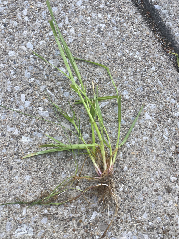 4496A6E9-3B73-4148-91E2-96490DD11D7D