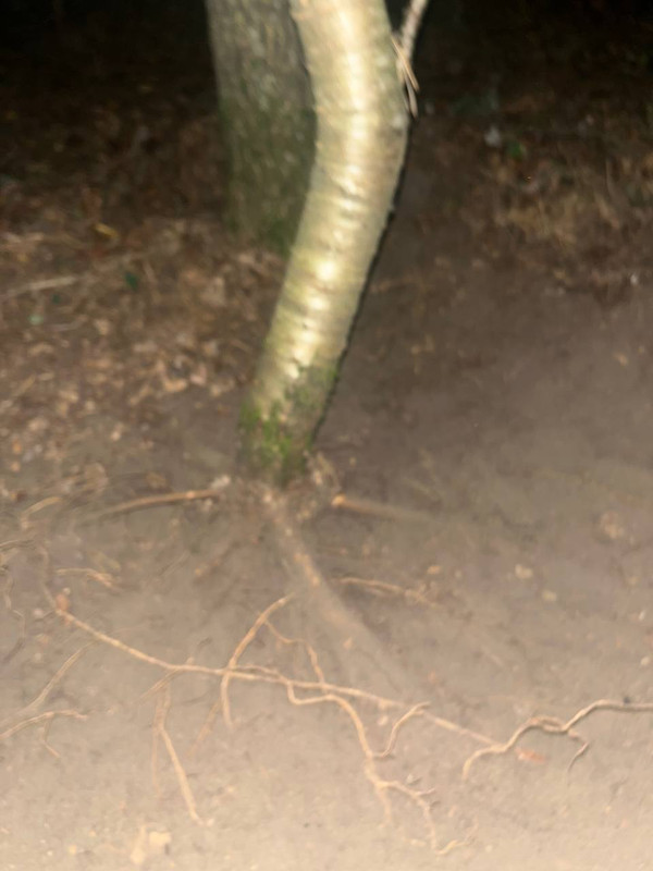 IMG_20251007_220816_084