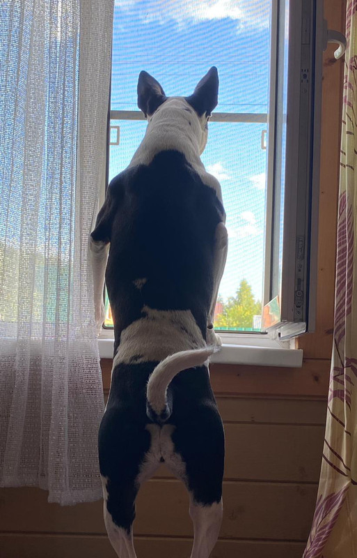 72BFBBD8-F08A-4F35-95A7-3FD304B00E8A