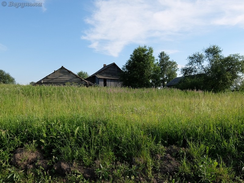 DSCF9061