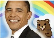 Obama nuslėpė 470 000 dokumentų apie Bin Ladeno reidą, kad užsitikrintų savo perrinkimą