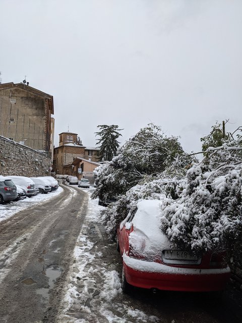 PXL_20210213_101947061.MP