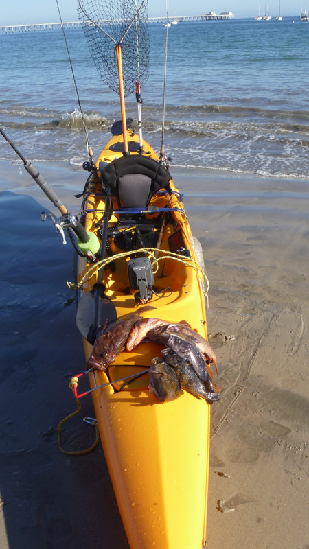 5A973217-1DBC-48E4-97E3-45D905B084F6