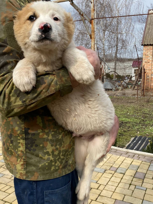 D776F94A-DEAF-4CDD-9C80-388F1F8D56B2