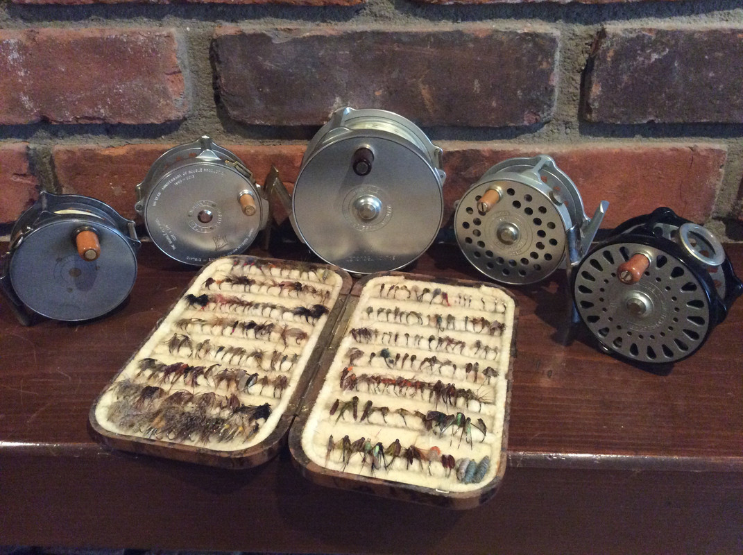 D03F6C6F-3A66-4EB3-9866-6B094C4AE518