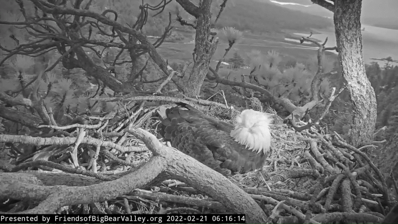 Webp.net-gifmaker (3)