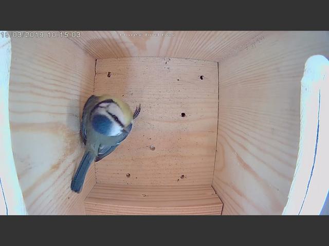 452808CD-9407-466D-A236-97F149F28BEB