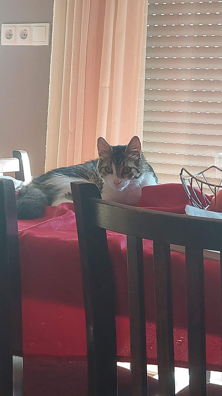 IMG-59908552eb1b3ff32652f2d718fc9725-V