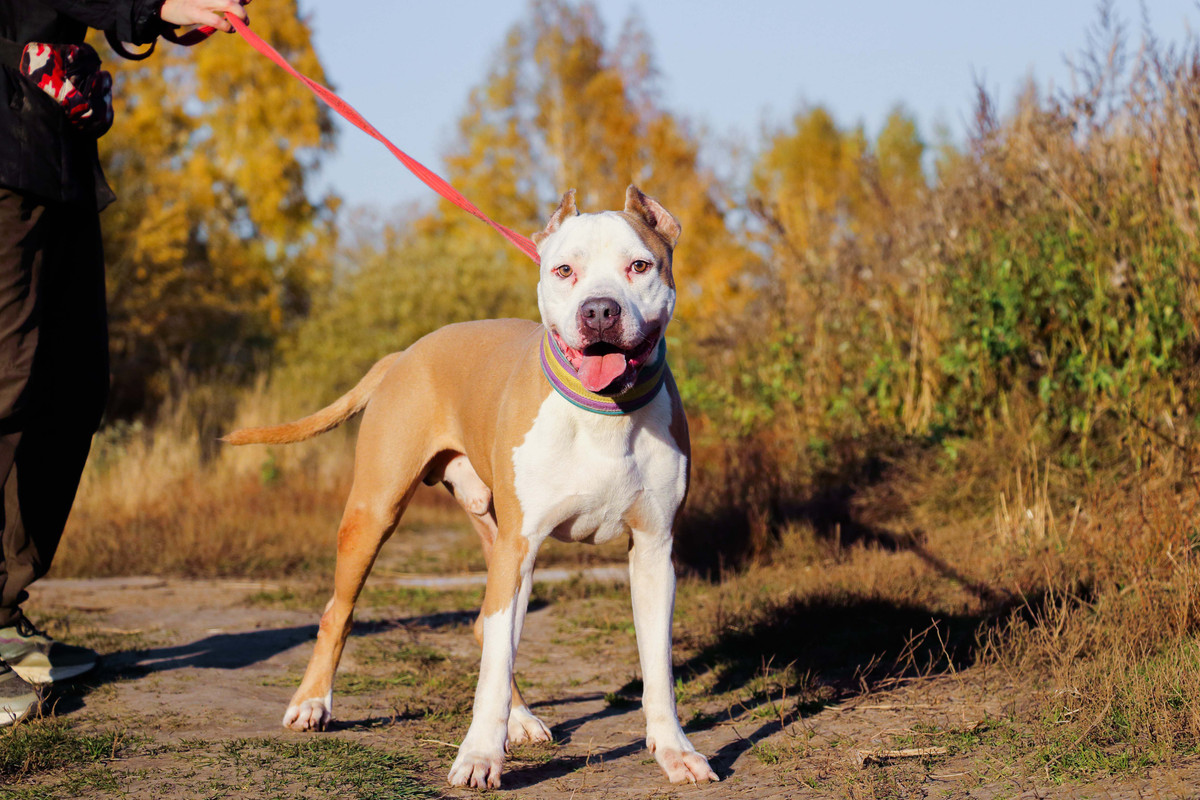 7DE1921A-1FBF-4424-963D-FE0038F28B9A