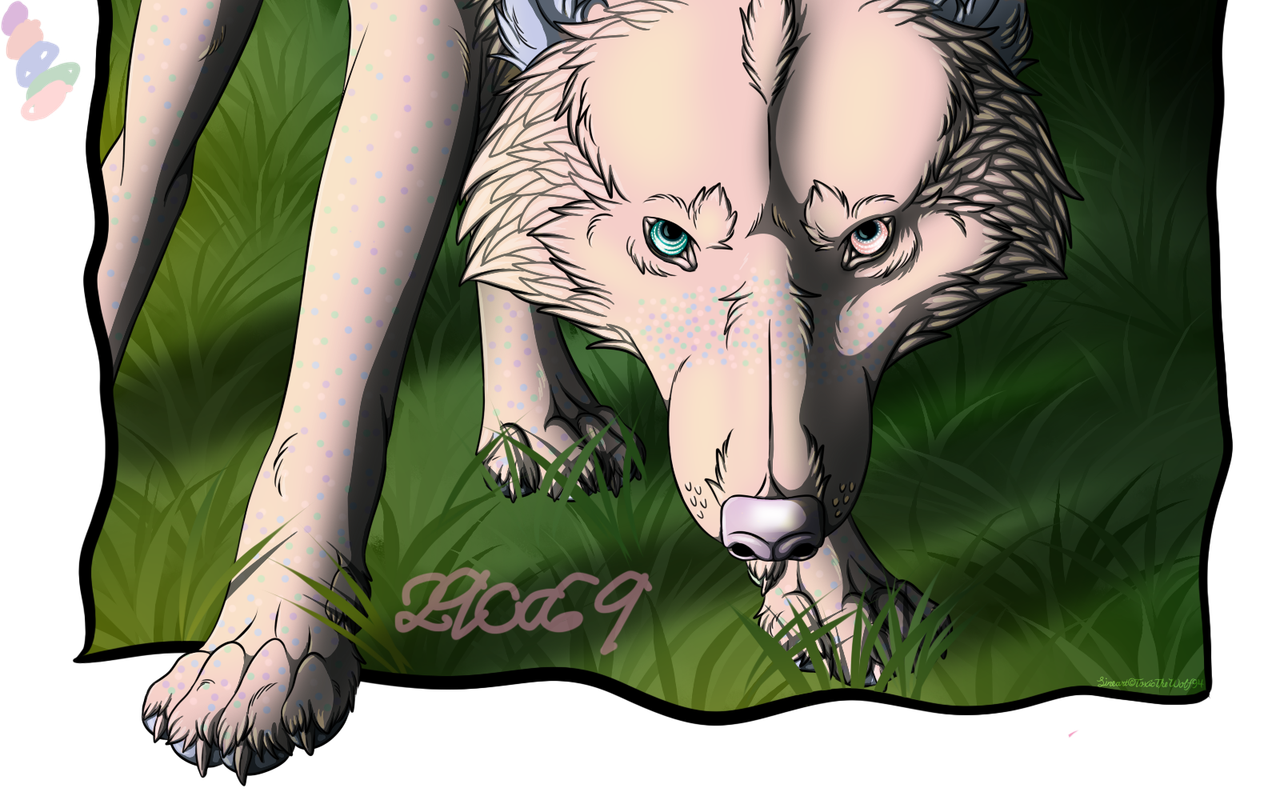 Newocnoname.png