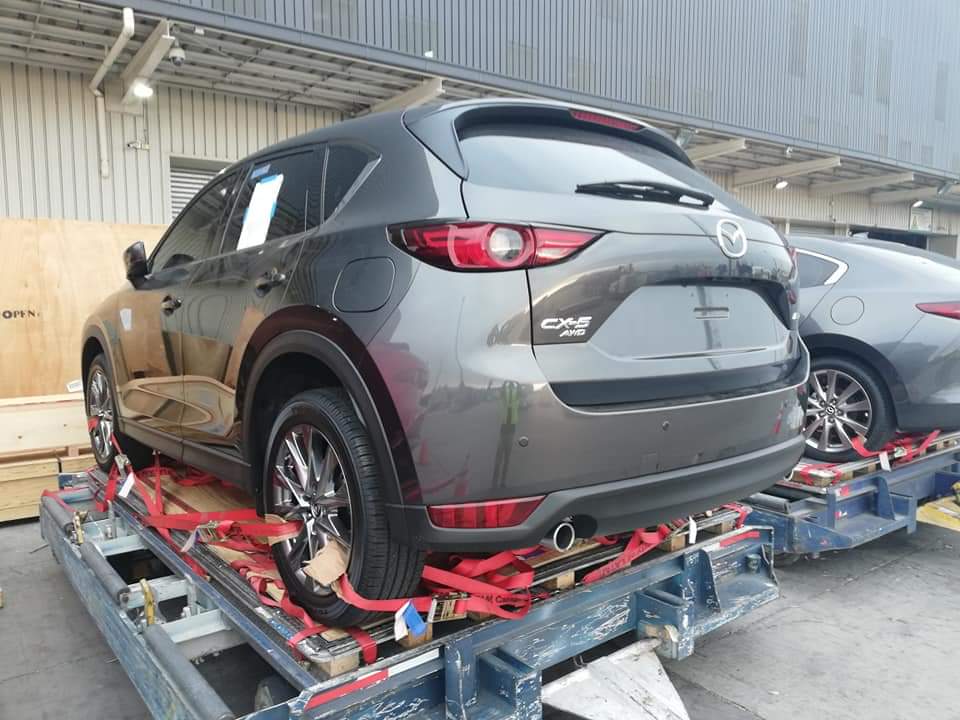 WhatsApp Image 2019-02-22 at 11.24.25(3)