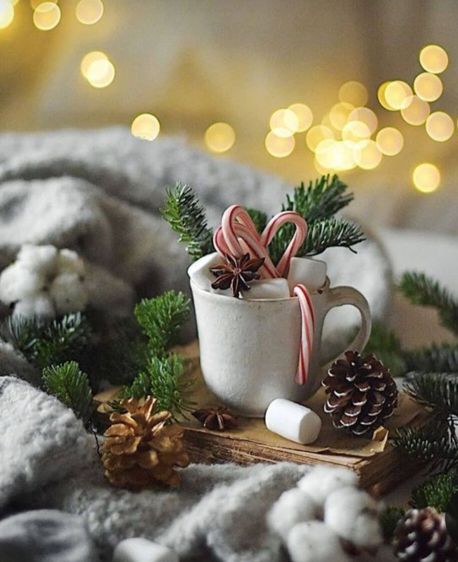 Screenshot_20231122_214105_Pinterest